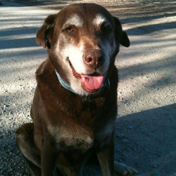 I love my fur babies! Animals Rule!! - Picture 8 of 8